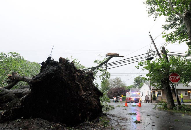 A large tree fell and snagged wires in front of a house at the corner of State Road and Rosa Avenue in Croydon during Tuesday evening's storm.