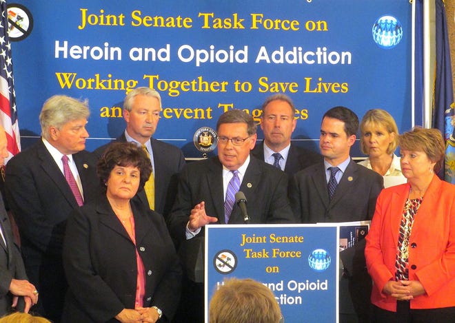 Sen. James Seward addresses the media during a press conference announcing the release of 25 bills and a report by the state Senate's Joint Task Force on Heroin and Opioid Addiction. The report summarized the findings of statewide forums held to examine the issues surrounding the increase of drub abuse, addiction and drug related crimes in New York. SUBMITTED PHOTO
