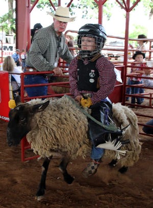 Jamie Mitchell Times Record - Carter Little gets a good run on his sheep, Thursday, May 29, 2014, during the qualifying rounds of the Mutton Bustin' competition in Hugh Hardin Arena at Kay Rodgers Park. Carter advanced to ride in the main event during the Old Fort Days Rodeo and won the event for the night. Carter is the 6-year-old son of daniel and Misty Little of Charleston.