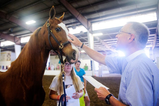 Lily Callahan, 12, watches as her horse, Bob, is blessed by the Rev. H. Knute Jacobson during an animal blessing at the Calvary Episcopal Charity Horse Show on Saturday at the Central Missouri Events Center.