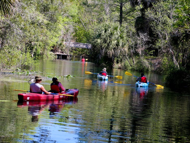Kayakers paddle from Silver Springs State Park down the Silver River.