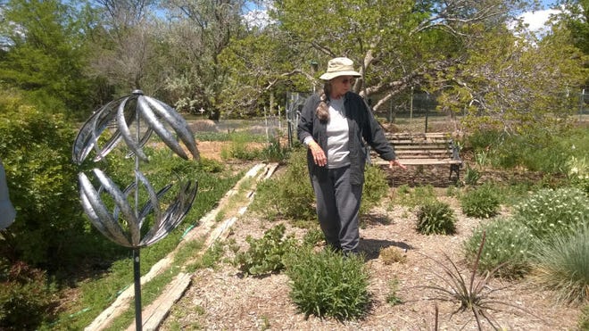Skip Mancini points out plants in her garden that do well even in drought conditions.