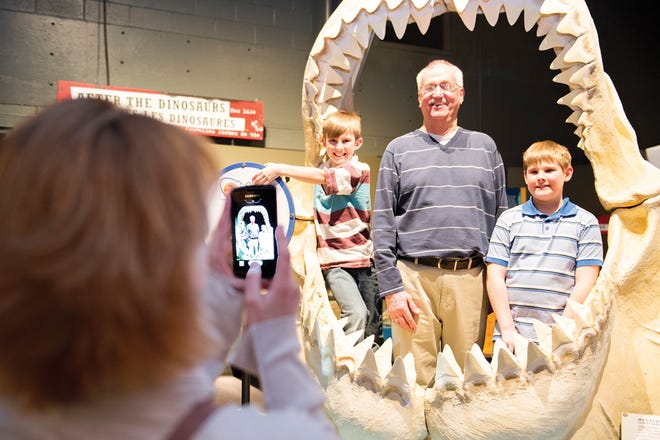 Jaws of the shark teeth: Replica of a megalodon shark jaw — at up to 50 feet (15 m) long, the extinct shark was the largest predatory shark that ever lived (it’s also very similar to modern day sharks with its serrated teeth, bony jaw, and cartilaginous — versus bone — skeleton).