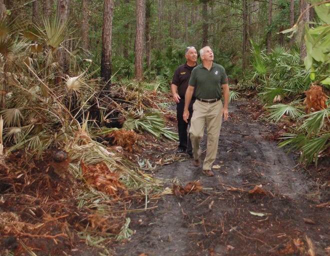Jacksonville Navy Metro Fire & Emergency Services Chief Mark Brusoe and NAS Jacksonville Safety Specialist Gregg Gillette inspect a fire break cut by the U.S. Forest Service. The fire, caused by lightning May 30, burned approximately five acres within the base perimeter. No injuries were reported.