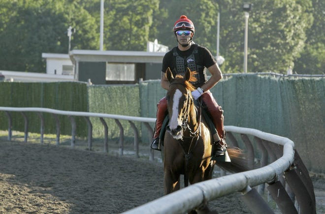Exercise rider Willie Delgado walks California Chrome back to the gap after a workout at Belmont Park, Friday, June 6, 2014, in Elmont, N.Y. The Kentucky Derby and Preakness Stakes winner will attempt to become the first Triple Crown winner since Affirmed in 1978 when he races in the146th running of the Belmont Stakes horse race on Saturday. THE ASSOCIATED PRESS