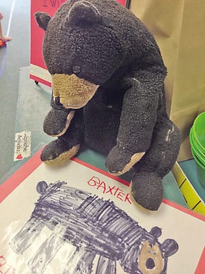 The search is on for Baxter the beloved stuffed black bear, a mascot from the kindergarten class at Main Street School in Exeter. Baxter fell out a window of a school bus on June 3. The bear was similar to this one, which is the original Baxter and is still sitting in Mrs. Drinker's kindergarten class.