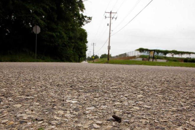 A baby toad sits on a road, Wednesday, June 11, 2014, in the Roxborough neighborhood of Philadelphia. A humid and rainy summer night makes for quite a rush hour in Philadelphia as thousands of baby toads try to hop across a busy street. (AP Photo/Matt Slocum)