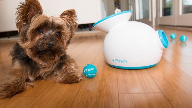 The iFetch is a new device for dogs developed here in Austin.