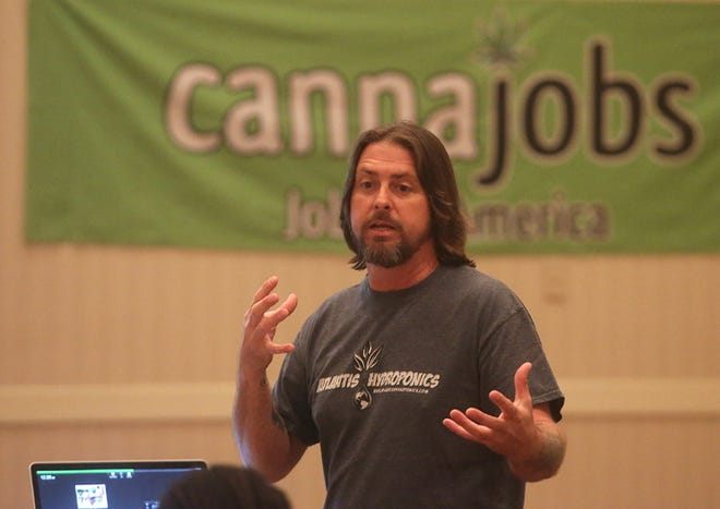 The Cannabis Career Institute offers advice on business opportunities that await in Florida