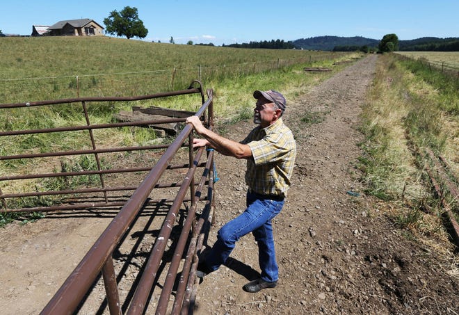 David Horning visits the old railroad right of way through his ranch north of Monroe. He opposes creation of a bike path on the route. (Chris Pietsch/The Register-Guard)