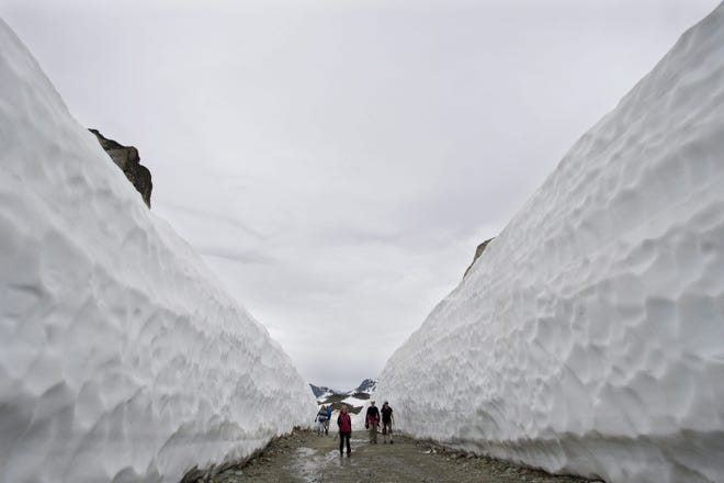 Winter snows last a long time on British Columbia's Whistler Mountain, where the summit tops 7,000 feet. Yesterday, hikers followed a trail through walls of snow 20 feet high. The Canadian mountain is about 75 miles north of Vancouver.