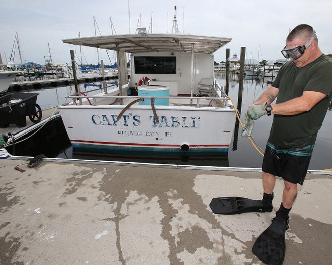 Andru Hollendoner prepares to clean a hull at the St. Andrews Marina on Tuesday.