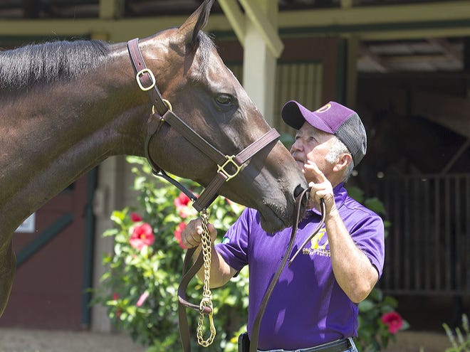 Hall of Fame jockey Jacinto Vasquez, 70, still rides thoroughbreds every day at Oak Bell Farm near Ocala, Florida. He is shown on Friday June 27, 2014 with filly Thank's Hernani.