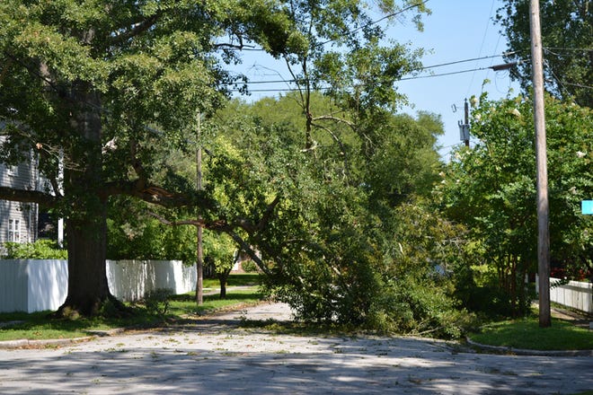 Damage from Hurricane Arthur was fairly minor in New Bern but a tree fell at the corner of North Pasteur Street and Avenue D in the Riverside area of town.