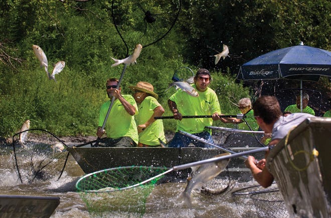 Soon, there will be a similar scene in East Peoria to this one in Bath, Ill., when the Flying Fish Bowfishing Tournament takes place July 12 in the Illinois River.
