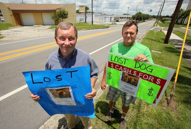 Peter McFarlane, left, and Blane Fox hold signs during their search for McFarlane's lost golden retriever, Sophie, in Lakeland on Wednesday. Sophie has been missing since June 26.