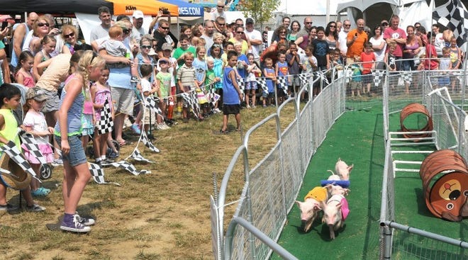 Fairgoers cheer during the pig races at last year's  Burlington County Farm Fair.