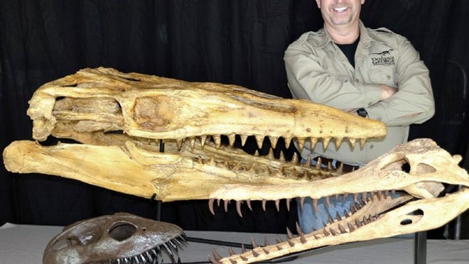 “Dinosaur” George Blasing, a self-taught paleontologist and animal behaviorist with more than 35 years of study and research, will visit the Lake Travis Community Library July 24.