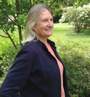 Portsmouth resident Robin McLane is running for the District 3 seat on the New Hampshire Executive Council.