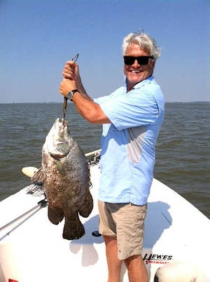 Photo courtesy of Capt. Eric TraubMore tripletail action: Sid Levy shows a hefty 19-pounder he landed while fishing with Capt. Eric Traub.