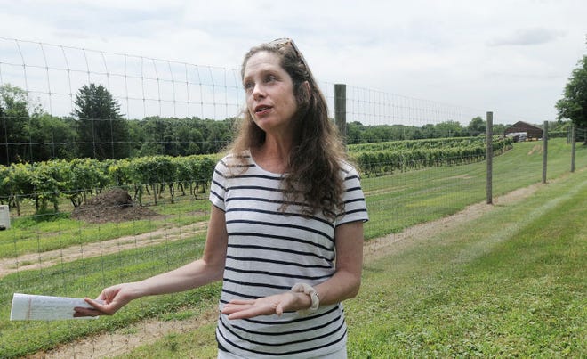 Carol Evinski of Upper Makefield and many of her neighbors are disappointed with a new township ordinance they think will do nothing to abate outdoor noise coming from events at Crossing Vineyards winery.