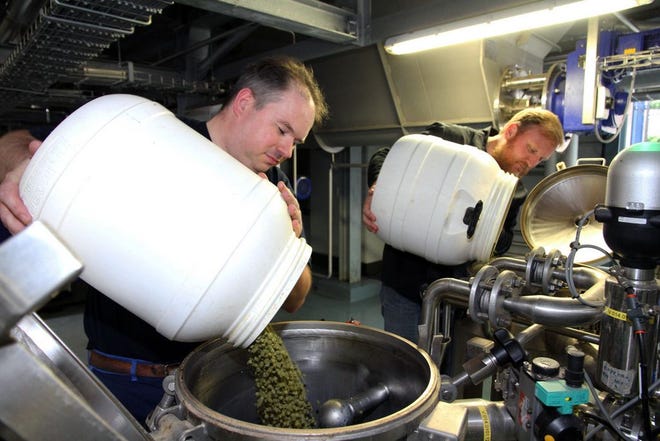 In this undated photo provided by Green Flash Brewing Co., Alexis Briol, of Brasserie St-Feuillien in Belgium, left, and Green Flash brewmaster Chuck Silva, pour hop pellets into a batch of beer. San Diego-based Green Flash is making and selling fresh beer in the European market under a handshake deal with Brasserie St-Feuillien.