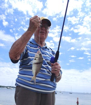 Leo Pinto, a resident at the Sacred Heart Nursing Home, holds a scup, one of several he caught to tie for the "Most Fish" award during the Annual Men's Club Fishing Trip on the Mattapoisett Town Wharf last weekend.