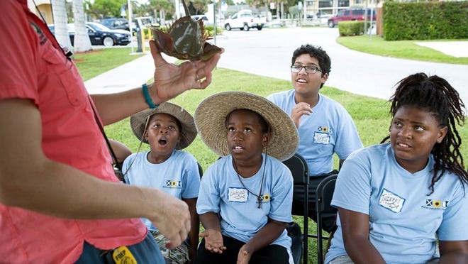 Rebecca Lucas (left), a Florida Fish and Wildlife technician, holds a horsehoe crab while (from left) A’zariah Morgan, 7, Ahmad Lopez, 8, Jeremiah Sehoen, 13, and Thierry Campbell, 10, all of West Palm Beach, marvel at the marine animal during Kid’s Fishing Day hosted by the Palm Beach County Fishing Foundation on Tuesday, July 29, 2014 at Lake Park Harbor Marina. The participants rotated through stations to learn about knot-tying, conservation and marine life. They also went out on a boat to try saltwater fishing. (Madeline Gray / The Palm Beach Post)