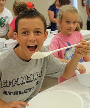 Effingham 4-H members Clark Heller and Morgan Kieffer made pizza as part of the "Kids in Kitchen" program. The group also made summer jelly and ice cream.