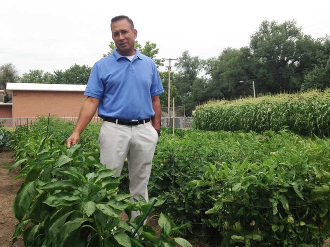 Mark Orozco, community liaison for Quincy Elementary School, stands in a garden that was started in June on the school's playground. Vegetables from the garden were distributed to parents at Wednesday's enrollment for the coming school year.