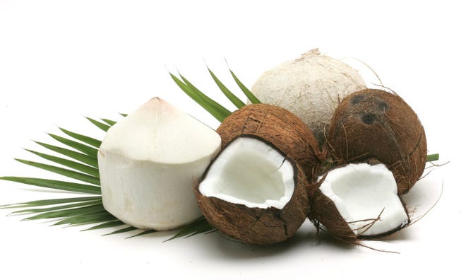 Coconut's not just for eating anymore. The tropical fruit is featured in the new Yes to Coconut line, which features shampoo and conditioner, body scrub and lip oil.