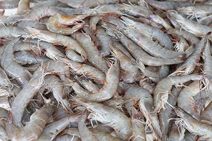 Davis Seafood will be providing shrimp for the de-heading contest in the Sneads Ferry Shrimp Festival.