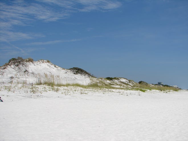 WaterSound's majestic dunes