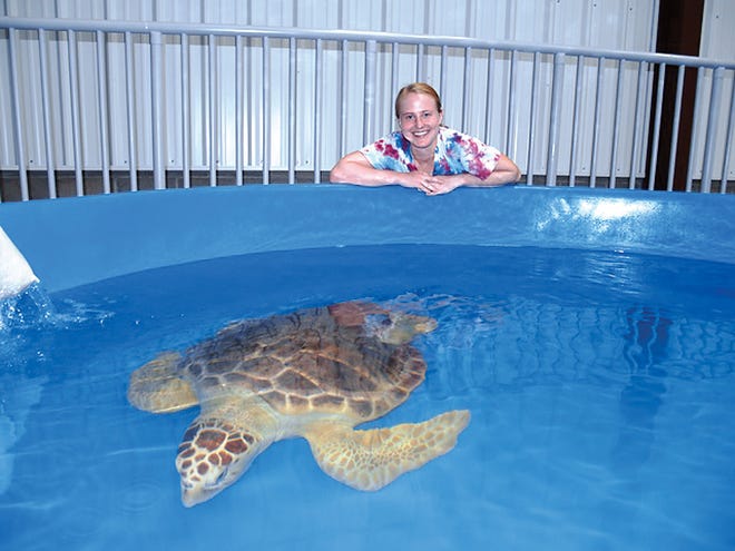 Snorkling with dad led to intern Hannah MacTaggart’s interest in sea turtles.