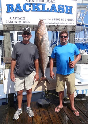 Jack, left, and his son Jason Smith teamed up to pull in this 88-pouund amberjack on Tuesday aboard the Backlash with Capt. Jason Mikel.