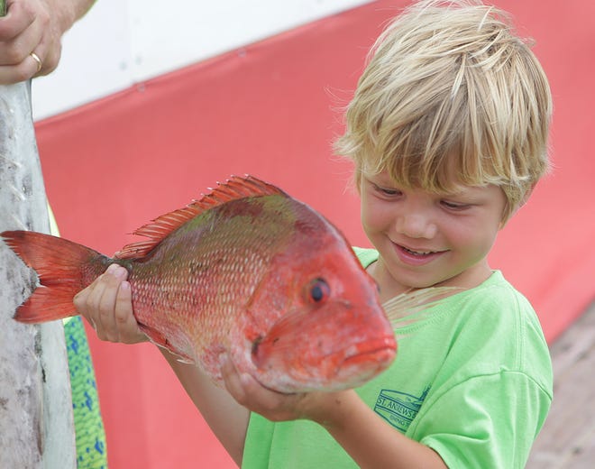 Chase Pennington, 6, proudly checks out a red snapper he caught, along with two king mackerels, during the 17th annual fishing tournament at the St. Andrews Bay Yacht Club on June 21 in Panama City.
