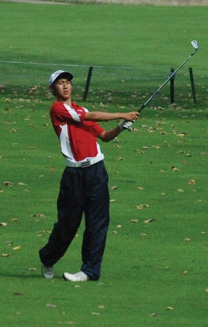 Metamora junior Dominic Shaheen knocks one down the fairway last season for the Metamora boys golf team.