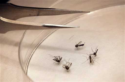 Health officials say a person in Republic County is the first to have the West Nile virus in Kansas this year.