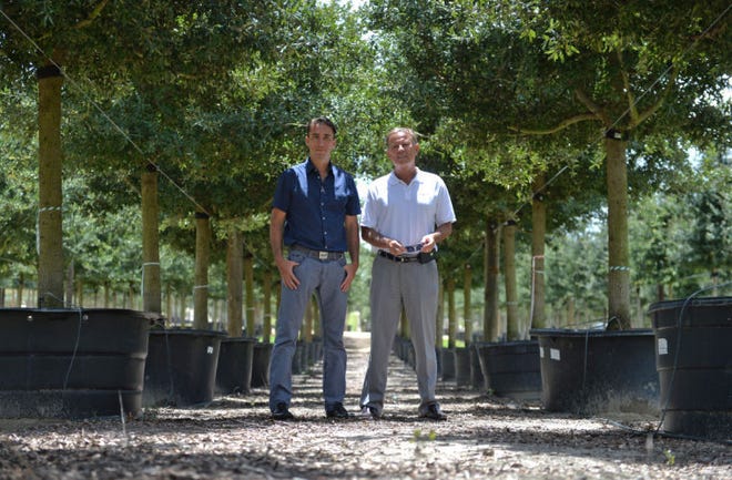 Michel Sallin, right, and his son Timothee Sallin, left, pose for a photo at their business Cherry Lake Tree Farm on Monday, Aug. 11, 2014.