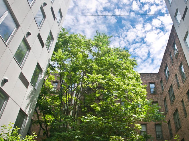 A patio garden view shows a seven-story modern modular apartment building called the Stack, on either side of a decades-old residence in the Innwood neighborhood of New York. The Stack's 28 apartments were formed from 59 modules of rectangular components all 12.5 feet wide and 50 to 60 feet long.