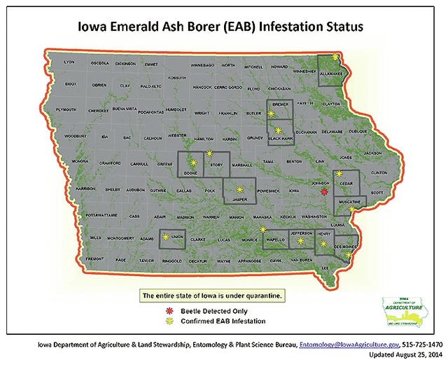 Emerald Ash Borer confirmed in Story City