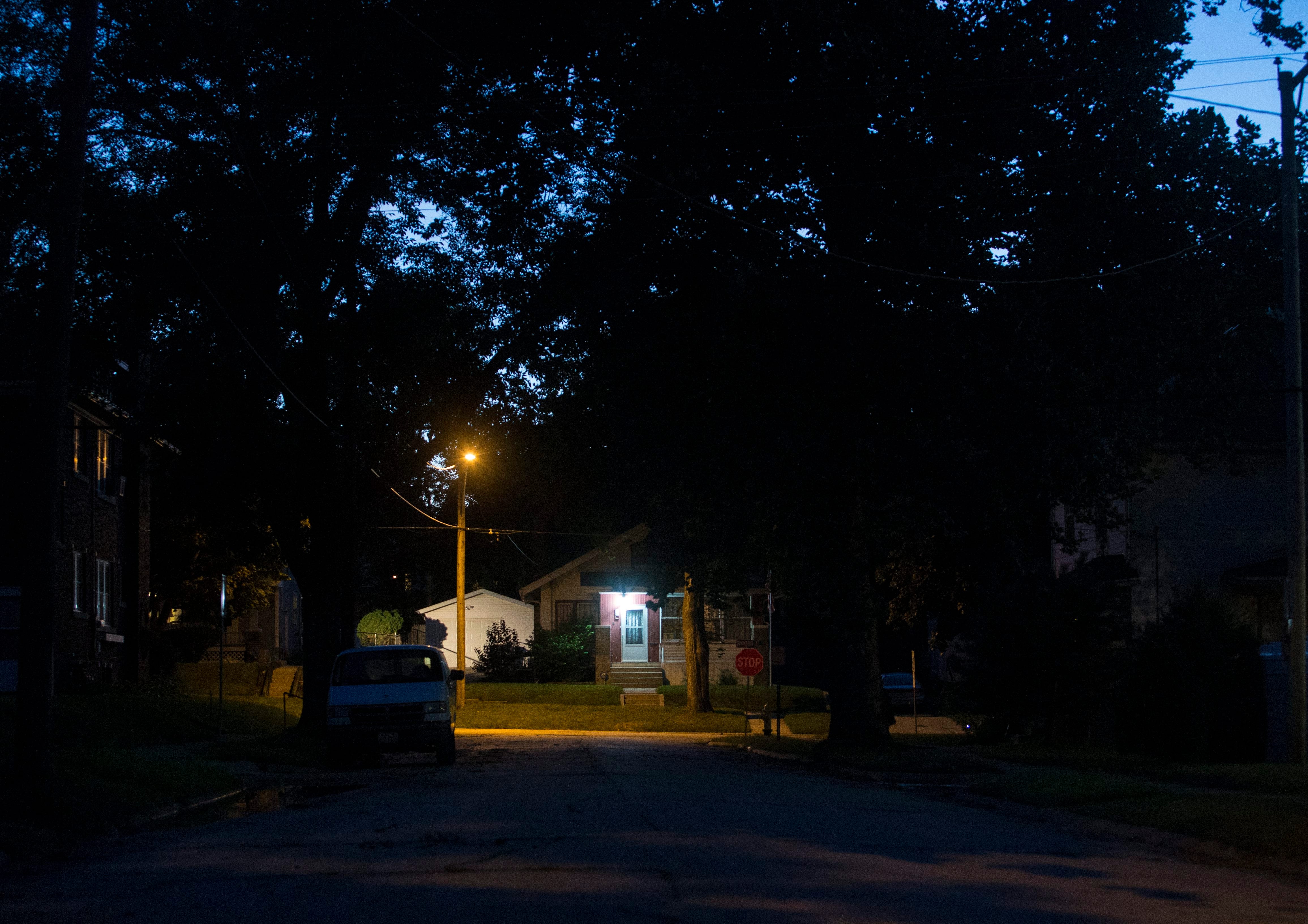 Should I Leave A Light On For Puppy At Night