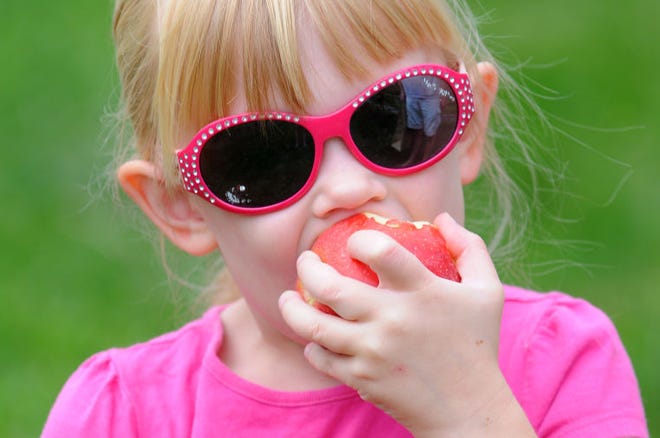 Madilyn Wayne, 5, of Furlong, chomps on a gala apple she picked during the first day of pick your own apples at Solebury Orchard, Saturday. (Catherine Meredith/Staff Photographer)