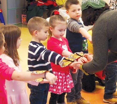 During a recent presentation, preschool classmates at the Little Sprouts Early Learning Center learned about butterflies from the Sussex County Master Gardeners.