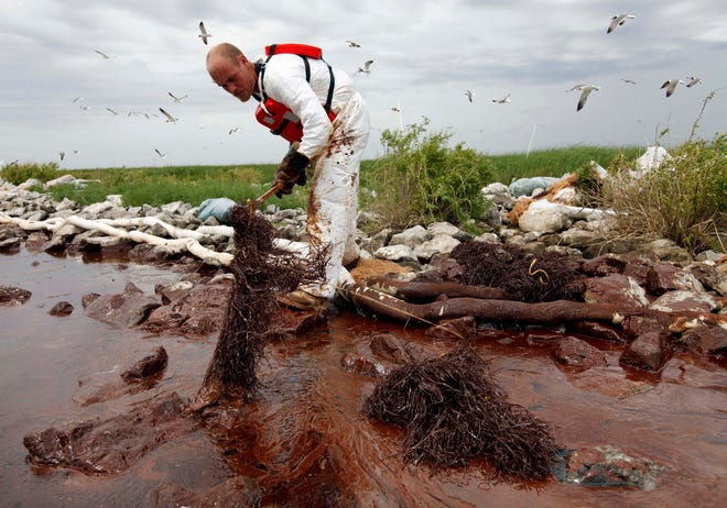 In this June 4, 2010 file photo, a worker picks up blobs of oil with absorbent snare on Queen Bess Island at the mouth of Barataria Bay near the Gulf of Mexico in Plaquemines Parish, La. U.S. District Judge Carl Barbier ruled Thursday, Sept. 4, 2014, in New Orleans, La., that BP acted recklessly and bears most of the responsibility for the oil spill. The ruling exposes BP to about $18 million in civil fines under the Clean Water Act.