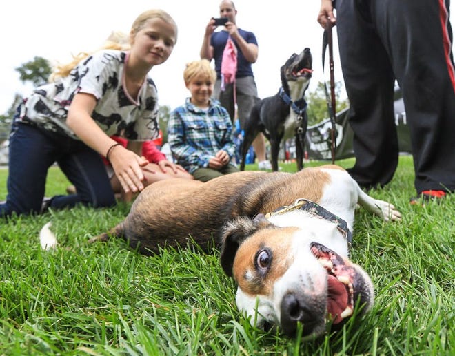 "Monster" gets attention from kids after performing in "Dog Daze" at Frisbee Common in Kittery, Maine, on Saturday.