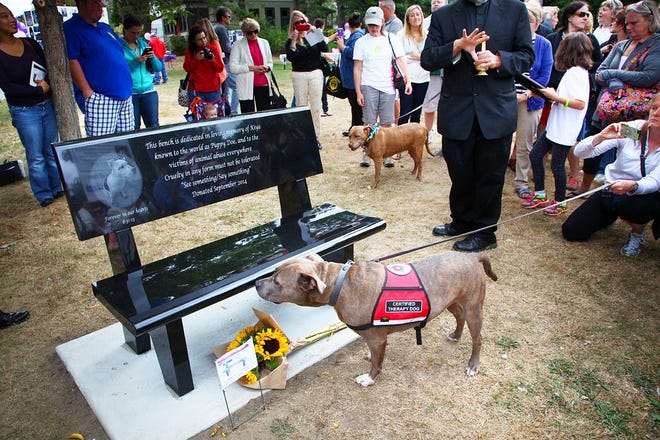 A ceremony that attracted hundreds was held to dedicate a memorial bench to Puppy Doe at the Whitwell Street Playground in Quincy, Saturday, Sept. 13, 2014.