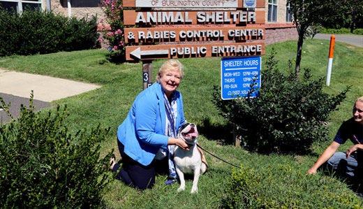 Sen. Diane Allen, R-7th of Edgewater Park, visited the Burlington County Animal Shelter in Westampton this month as part of an ongoing inititative to encourage residents to adopt shelter pets.