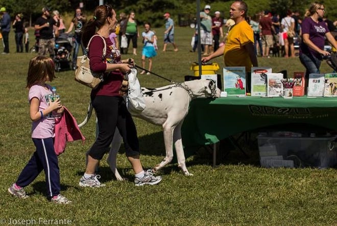 Vendors selling everything from crafts to pet-related items will be at the Voorhees event.