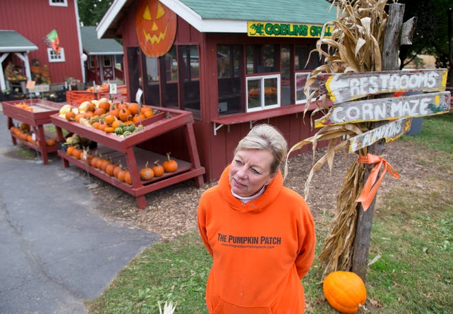 Jean Coon talks about her business, Pumpkin Patch, on Tuesday, Oct. 7, 2014, at the attraction in Caledonia. Coon and her husband, Mark, are looking to sell the business which they have owned for 14 years.